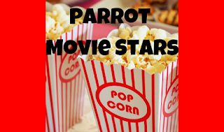 Movies with Parrots in them