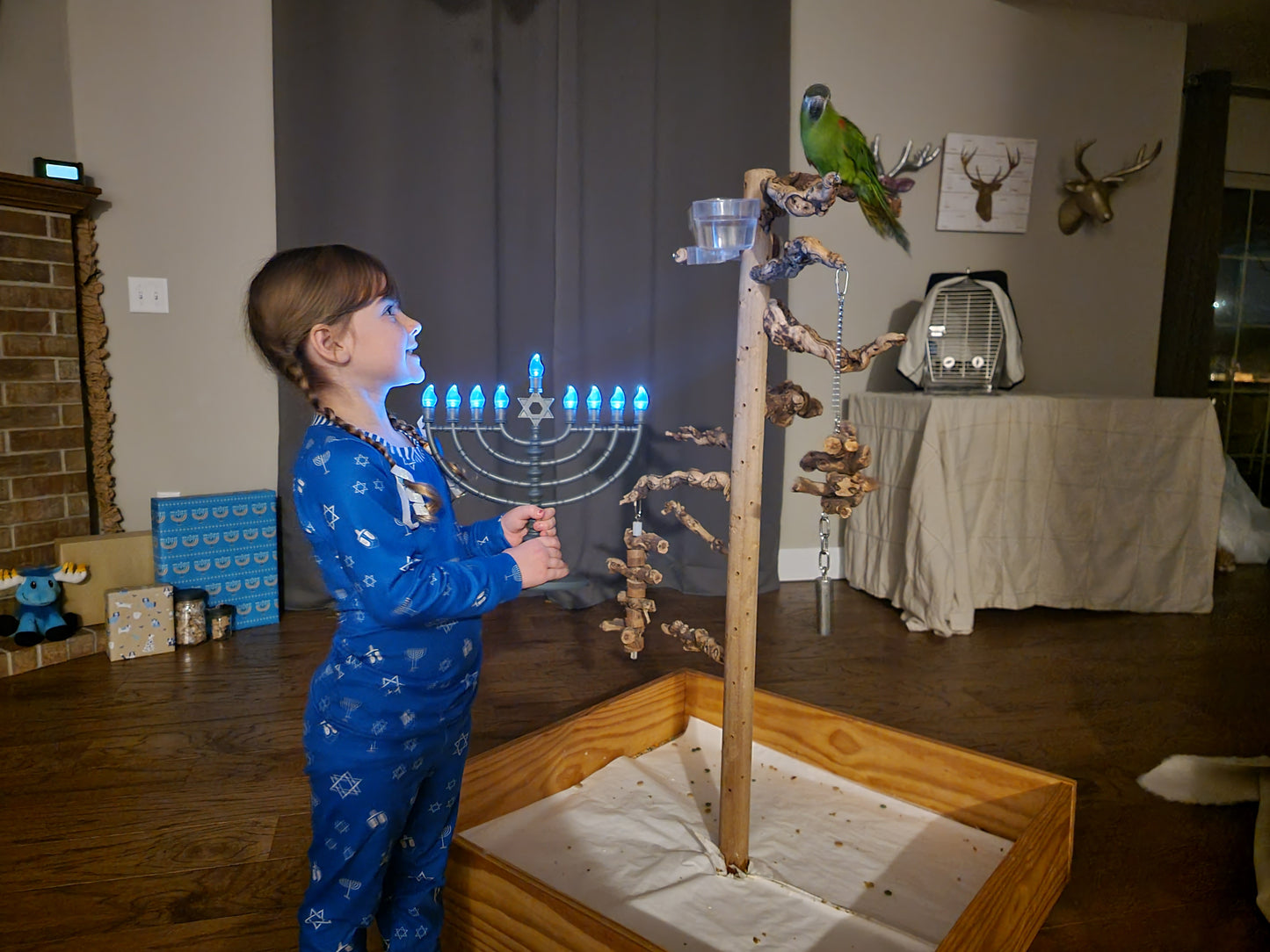 Kid's Cozy Style HANUKKAH Family-Matching PJs