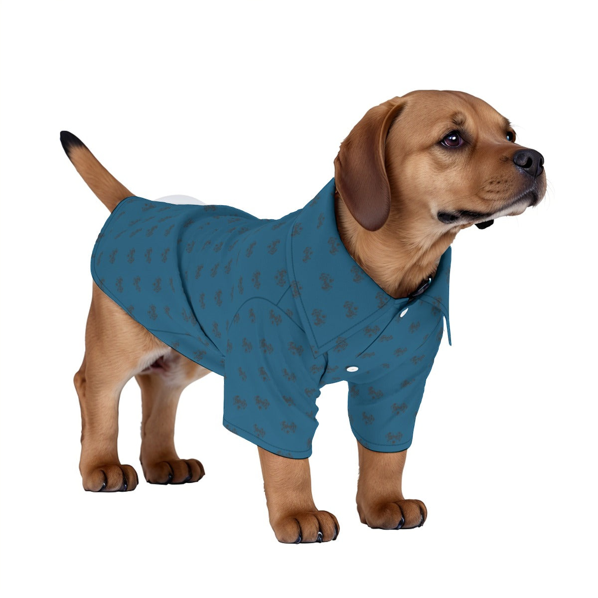 Dog's Dalmatian Face Teal Collar Shirt