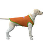 Dog Tank Top-Orange and Green M-2XL