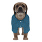 Dog's Dalmatian Face Teal Collar Shirt