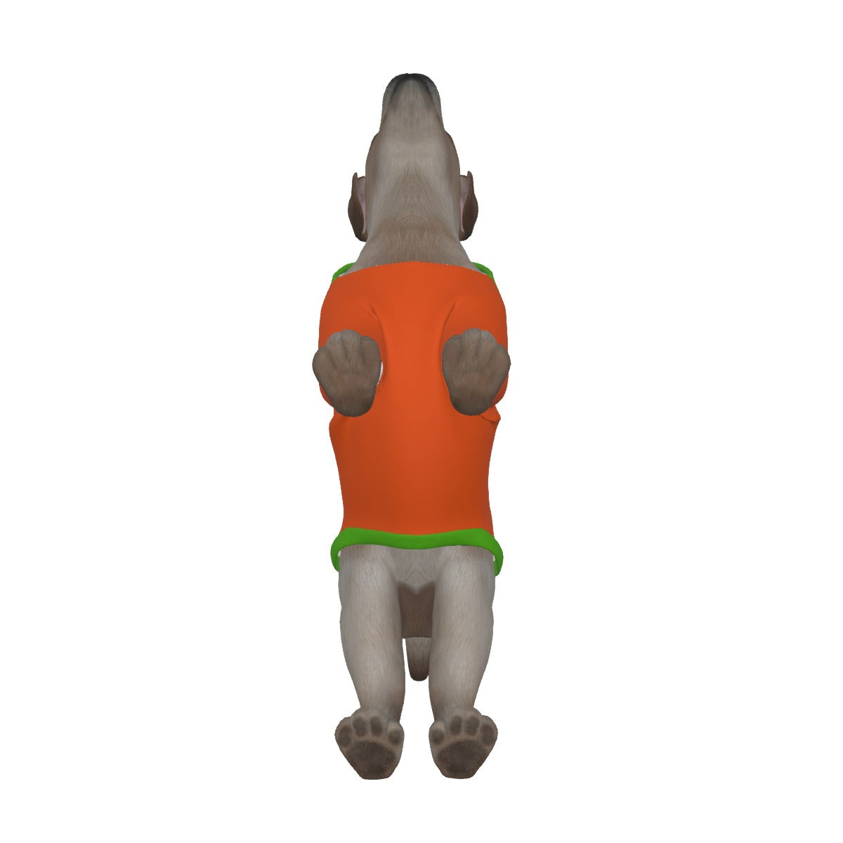 Dog Hoodie-Orange and Green (no graphic) XS-2XL