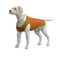 Dog Tank Top-Orange and Green (no graphic) M-2XL