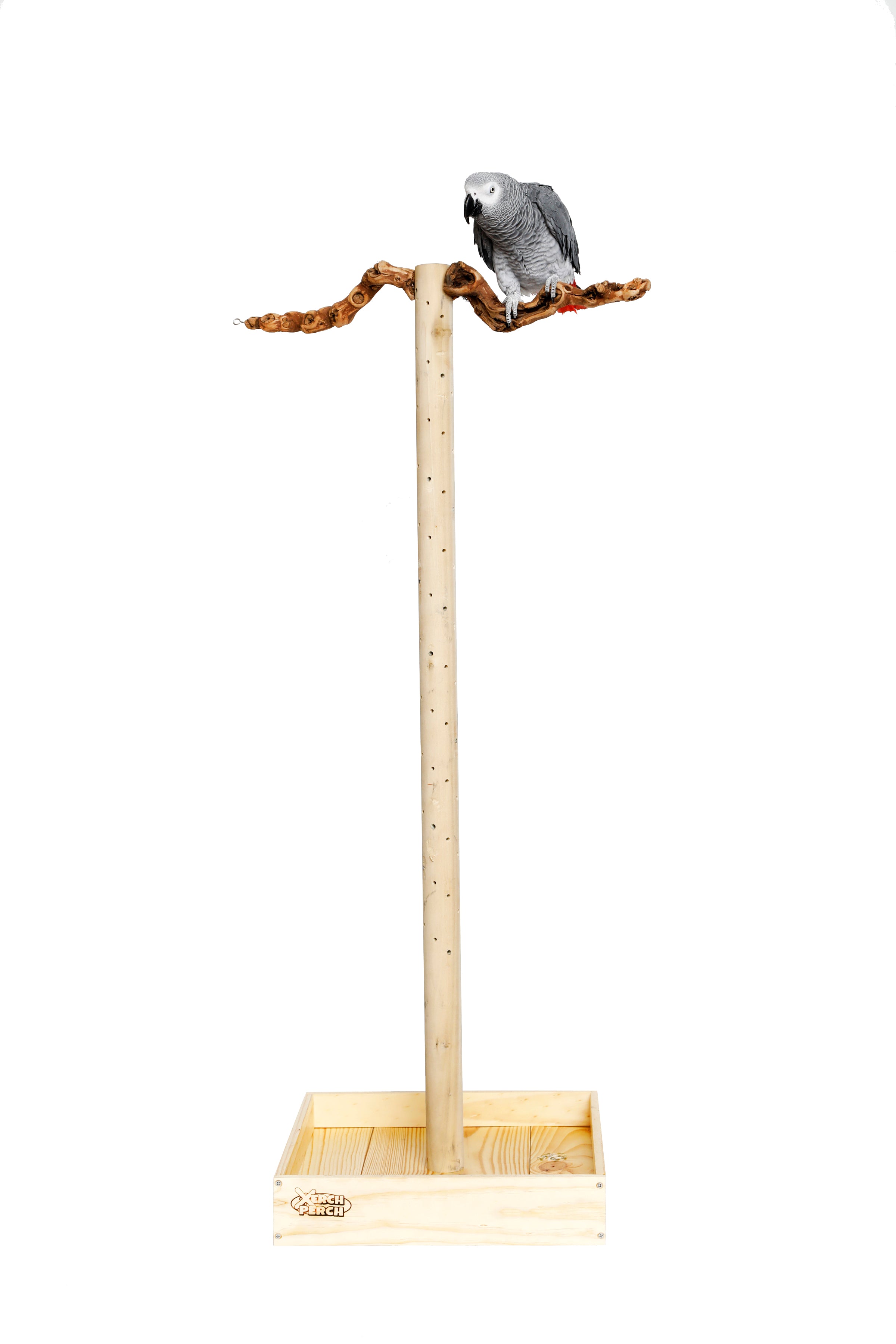 Perch stand for birds best sale