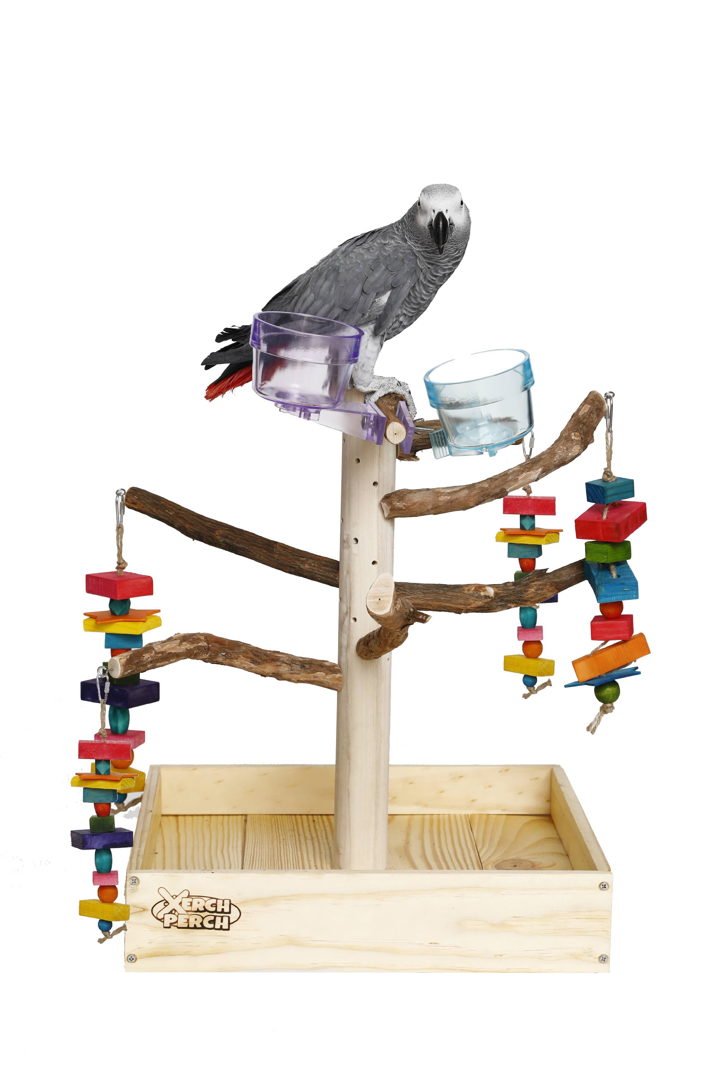 Large bird shop perch stand