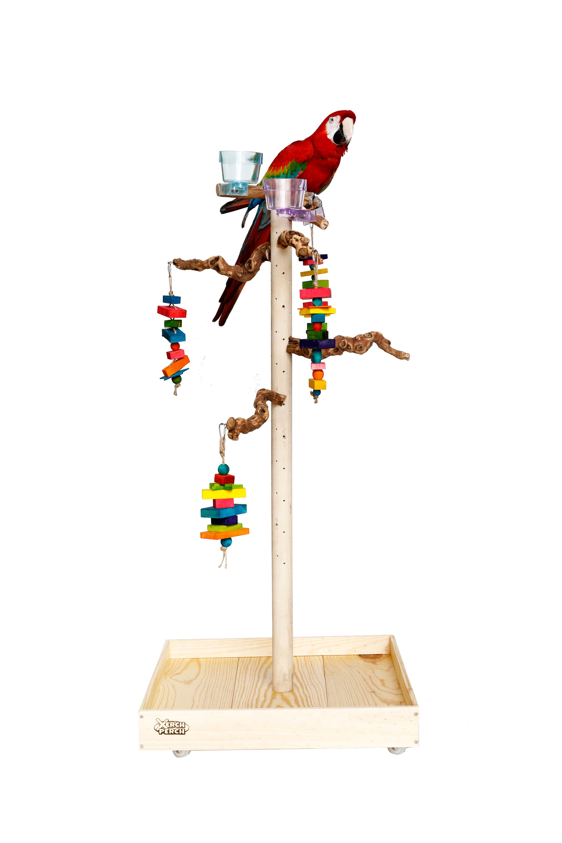 Natural DragonWood Parrot Stand Perch - Extra Tall – The Parrot Mom, LLC