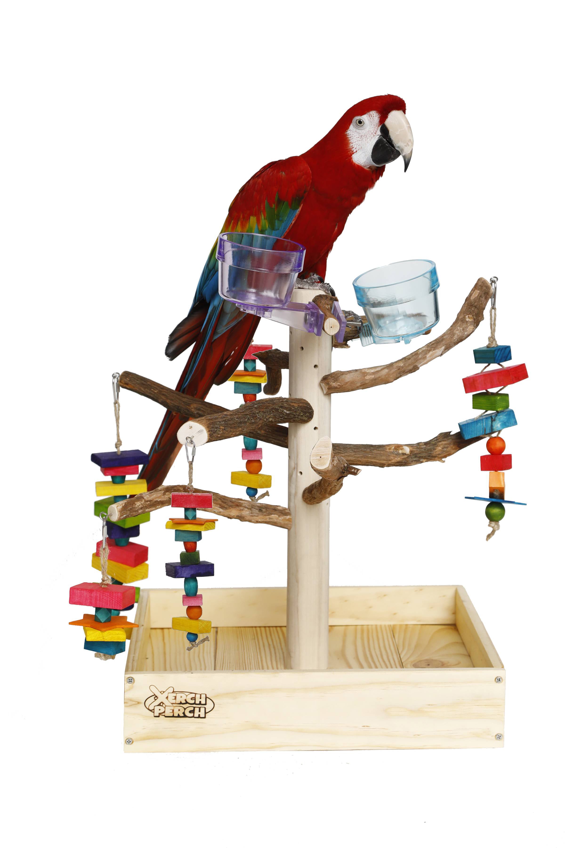 Parrot tree outlet stand for sale