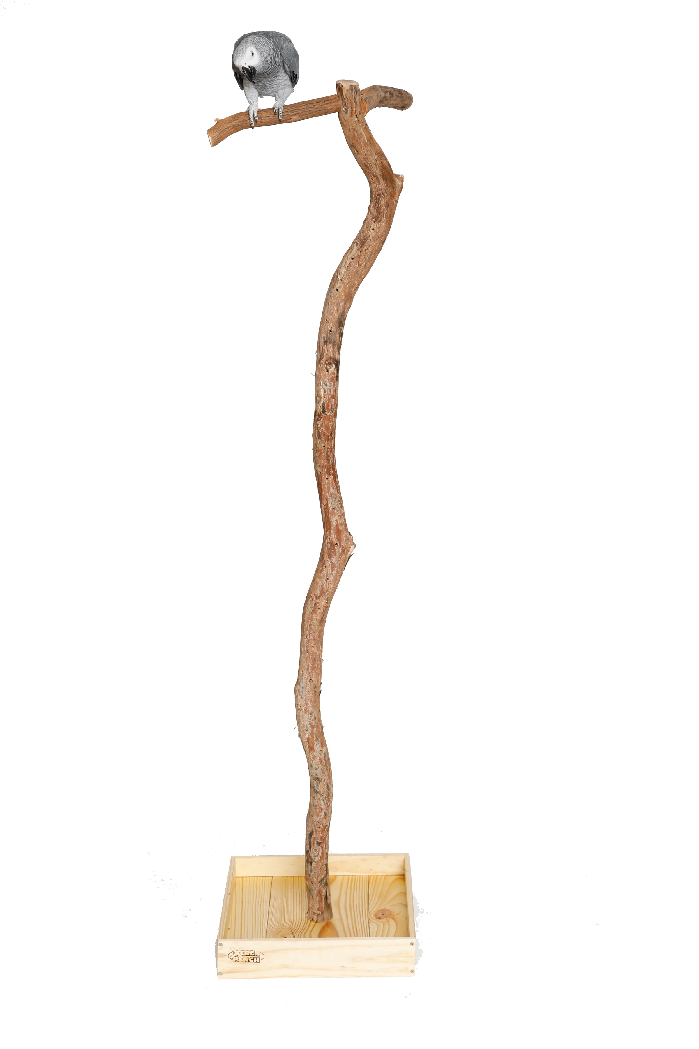 Natural store parrot stand