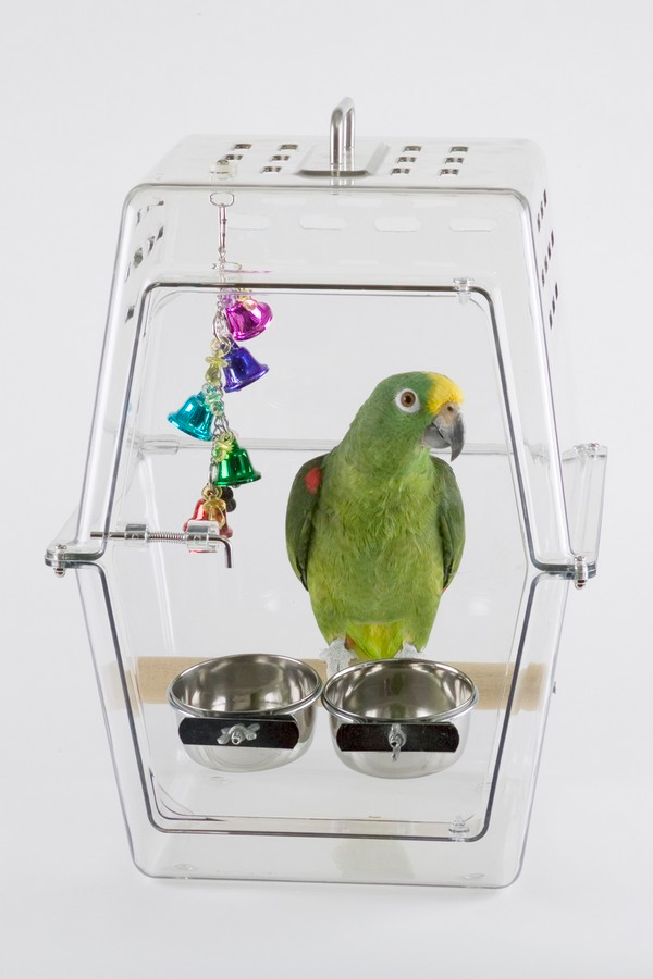 Clear discount bird carrier